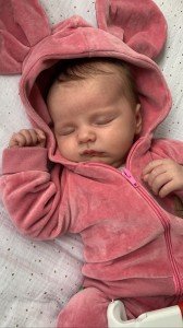 Welurowy dres niemowlęcy. Komplet welurowy dla niemowlaka. Różowy, brudny różowy dres dziecięcy. Prezent dla noworodka, niemowlaka. Modny dresik. Bluza z kapturem  z uszami na zamek, spodnie welurowe