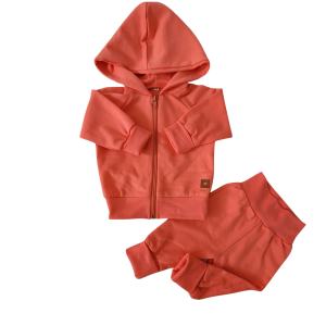 Projekt bez nazwy - 2025-01-16T133500.027.png