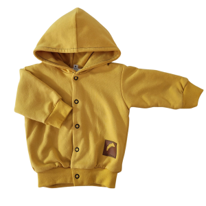 Projekt bez nazwy - 2025-01-17T131043.929.png